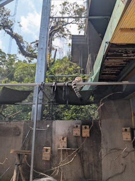 伊豆アニマルキングダムに投稿された画像（2025/5/8）