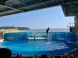 新江ノ島水族館に投稿された画像（2025/5/8）