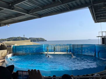 新江ノ島水族館に投稿された画像（2025/5/8）
