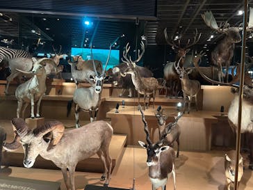 国立科学博物館に投稿された画像（2025/5/8）