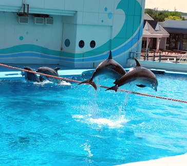 南知多ビーチランド＆南知多おもちゃ王国に投稿された画像（2025/5/8）