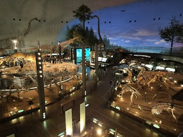 福井県立恐竜博物館に投稿された画像（2025/5/8）