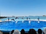 四国水族館に投稿された画像（2025/5/8）