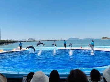 四国水族館に投稿された画像（2025/5/8）