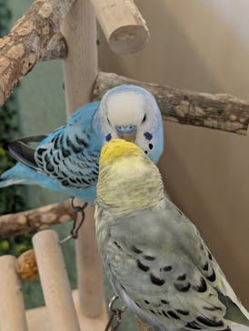 Moff animal world BIGHOPガーデンモール印西店に投稿された画像（2025/5/8）