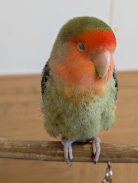 Moff animal world BIGHOPガーデンモール印西店に投稿された画像（2025/5/8）