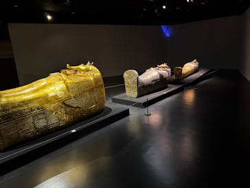 MYSTERY OF TUTANKHAMEN 体感型古代エジプト展に投稿された画像（2025/5/8）