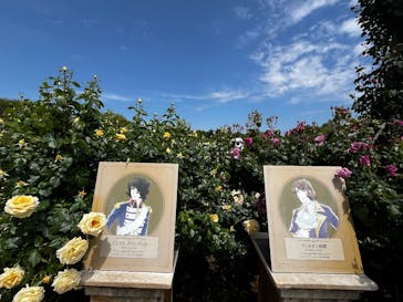 京成バラ園に投稿された画像（2025/5/8）