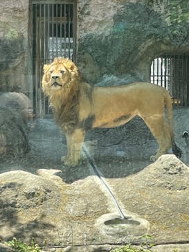 名古屋市東山動植物園に投稿された画像（2025/5/8）