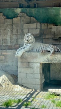 東武動物公園に投稿された画像（2025/5/8）