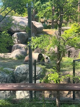 恩賜上野動物園に投稿された画像（2025/5/8）
