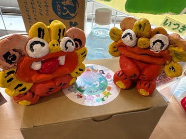 可愛いシーサー専門店 まいまいシーサーに投稿された画像（2025/5/8）