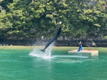 太地町立くじらの博物館に投稿された画像（2025/5/8）