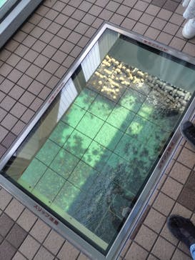 徳島県立 渦の道に投稿された画像（2025/5/8）