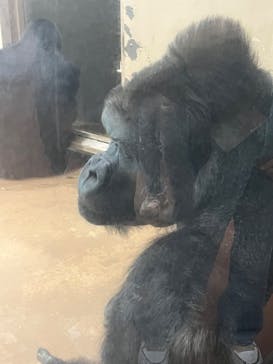 名古屋市東山動植物園に投稿された画像（2025/5/8）