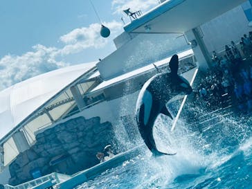 鴨川シーワールドに投稿された画像（2025/5/8）