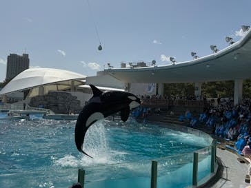 鴨川シーワールドに投稿された画像（2025/5/8）