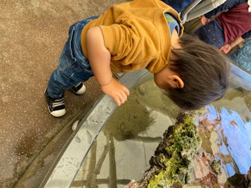 城崎マリンワールドに投稿された画像（2025/5/8）