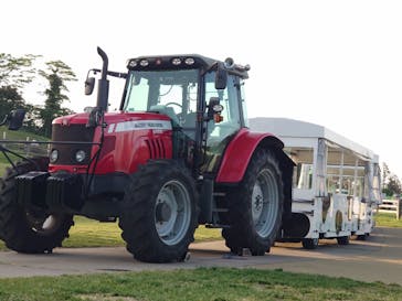 マザー牧場に投稿された画像（2025/5/8）