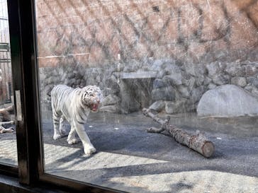 東武動物公園に投稿された画像（2025/5/8）