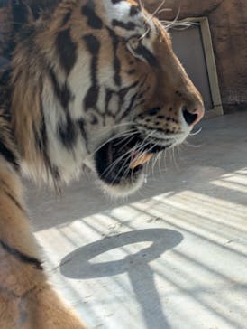 日立市かみね動物園に投稿された画像（2025/5/8）