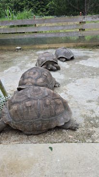 ネオパークオキナワに投稿された画像（2025/5/8）