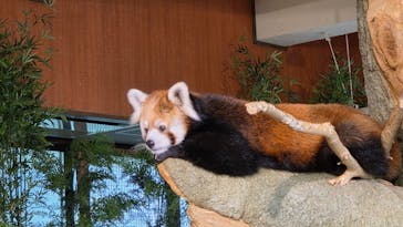 ネオパークオキナワに投稿された画像（2025/5/8）