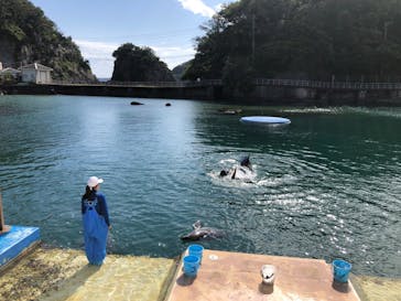 下田海中水族館に投稿された画像（2025/5/8）