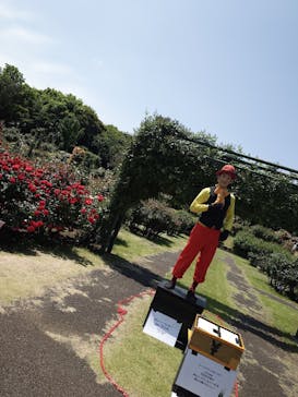 京成バラ園に投稿された画像（2025/5/8）