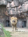 天王寺動物園に投稿された画像（2025/5/8）