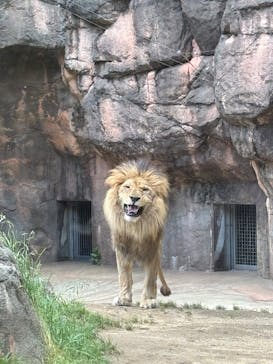 天王寺動物園に投稿された画像（2025/5/8）