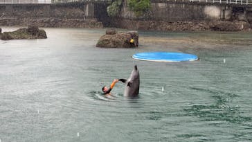 下田海中水族館に投稿された画像（2025/5/8）