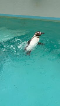 下田海中水族館に投稿された画像（2025/5/8）
