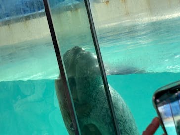 下田海中水族館に投稿された画像（2025/5/8）