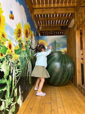 鈴鹿サーキットに投稿された画像（2025/5/8）