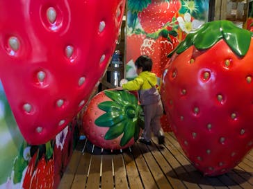 鈴鹿サーキットに投稿された画像（2025/5/8）