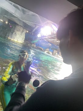 新江ノ島水族館に投稿された画像（2025/5/9）