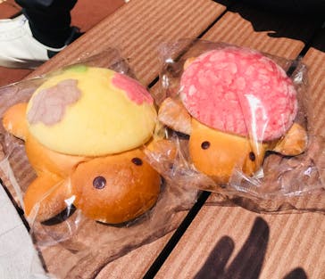 新江ノ島水族館に投稿された画像（2025/5/9）