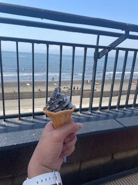 新江ノ島水族館に投稿された画像（2025/5/9）