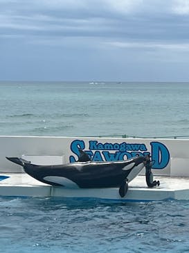 鴨川シーワールドに投稿された画像（2025/5/9）