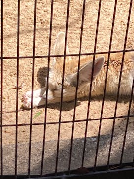 井の頭自然文化園に投稿された画像（2025/5/9）