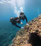 武藤潜水に投稿された画像（2025/5/9）