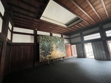 元離宮二条城に投稿された画像（2025/5/9）