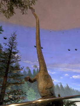 福井県立恐竜博物館に投稿された画像（2025/5/9）