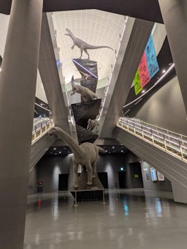 福井県立恐竜博物館に投稿された画像（2025/5/9）