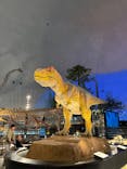 福井県立恐竜博物館に投稿された画像（2025/5/9）