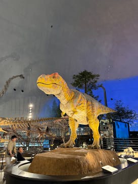 福井県立恐竜博物館に投稿された画像（2025/5/9）