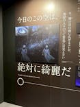 特別展「チ。 ―地球の運動について― 地球(いわ)が動く」に投稿された画像（2025/5/9）