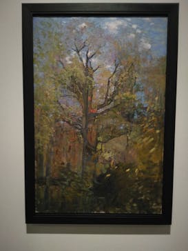 ヒルマ・アフ・クリント展（東京国立近代美術館）に投稿された画像（2025/5/9）