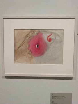 ヒルマ・アフ・クリント展（東京国立近代美術館）に投稿された画像（2025/5/9）